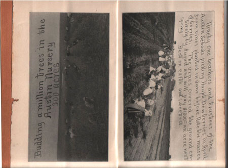 08b_Ram_cat1909
