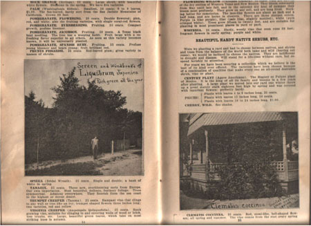 09e_Ram_cat1909-10