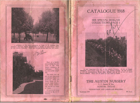 14_Ram_cat1918