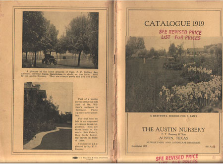 15_Ram_cat1919